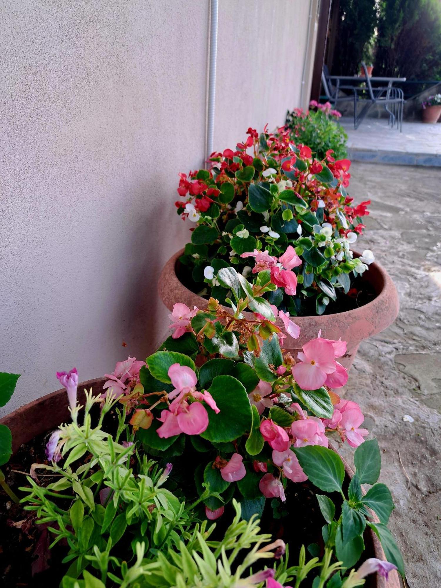 Villaggio Traditional Living Ioannina Exterior foto